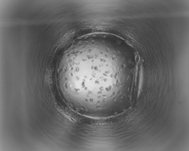 X0000056370738200509091648