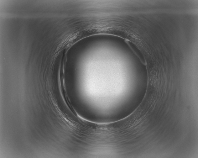 X0000056370740200509091648