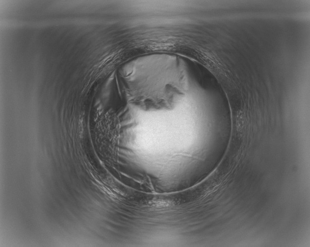 X0000056370741200509091648