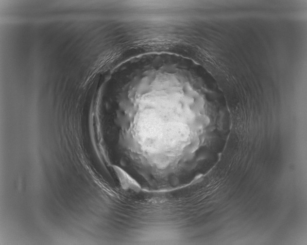 X0000056370742200509091648