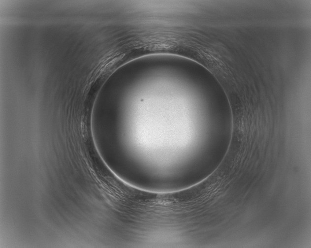 X0000056370743200509091648