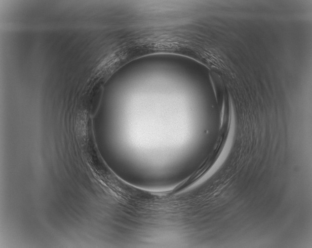 X0000056370744200509091648