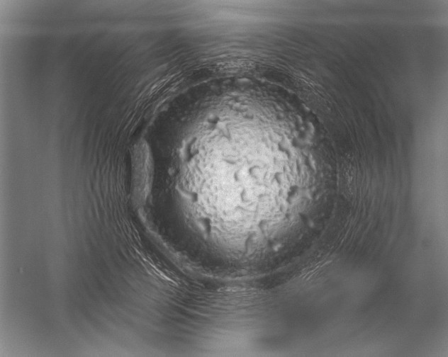 X0000056370745200509091648