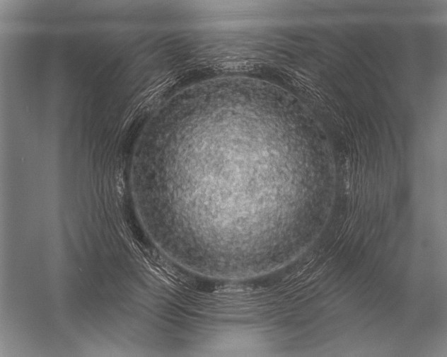 X0000056370746200509091648