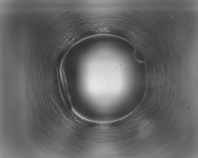 X0000056370747200509091648