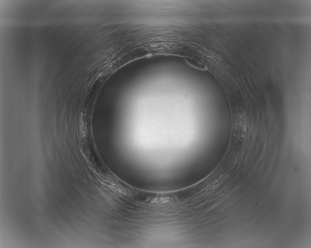 X0000056370751200509091648