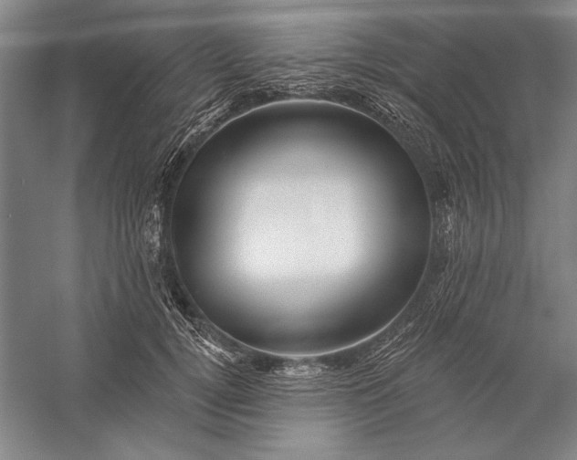 X0000056370752200509091648