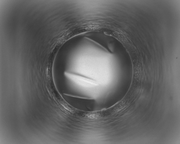 X0000056370755200509091648