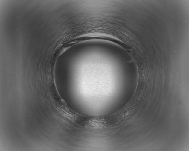 X0000056370756200509091648