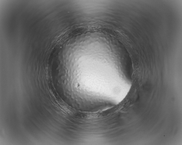 X0000056370757200509091648