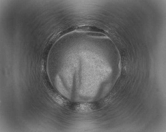 X0000056370758200509091648