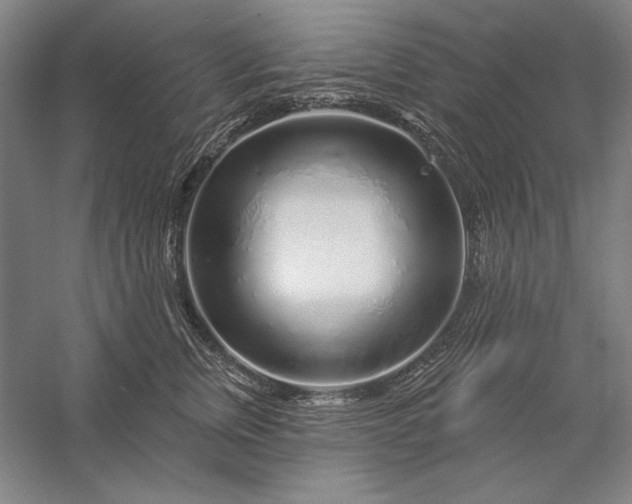 X0000056370759200509091648