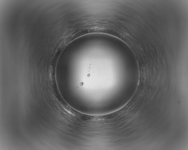 X0000056370760200509091648