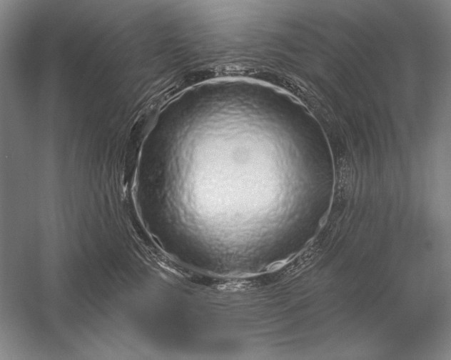 X0000056370761200509091649