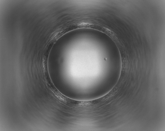 X0000056370762200509091649