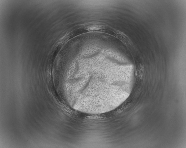 X0000056370763200509091649