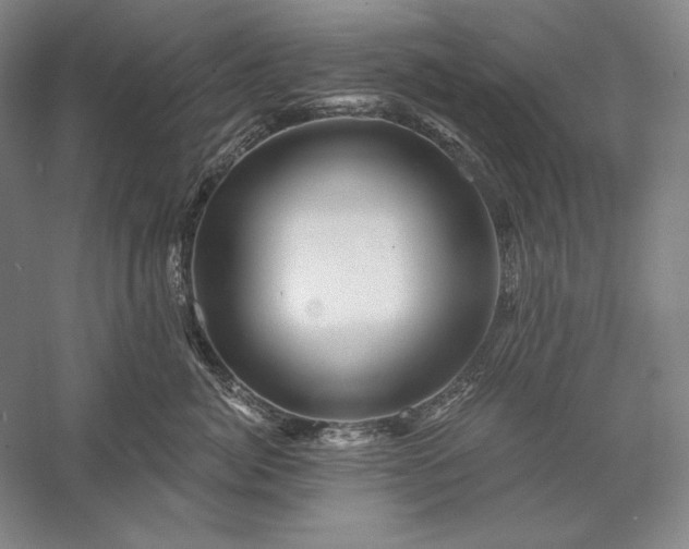 X0000056370764200509091649