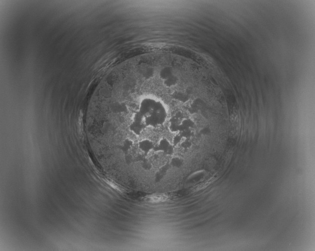 X0000056370765200509091649