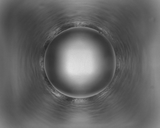 X0000056370766200509091649