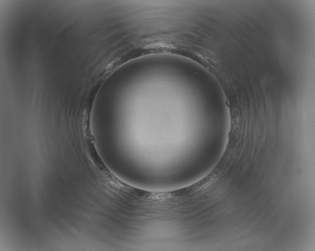 X0000056370767200509091649