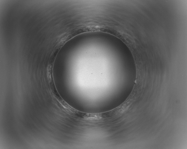 X0000056370768200509091649