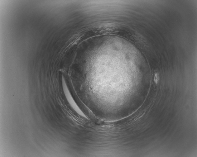 X0000056370771200509091648