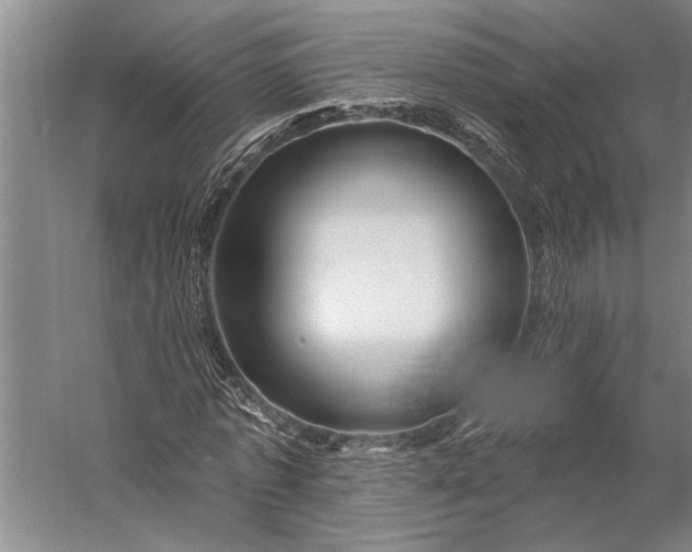 X0000056370773200509091648