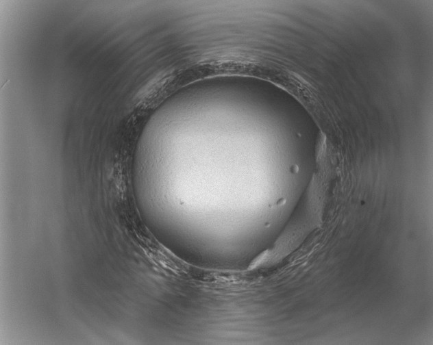 X0000056370774200509091648