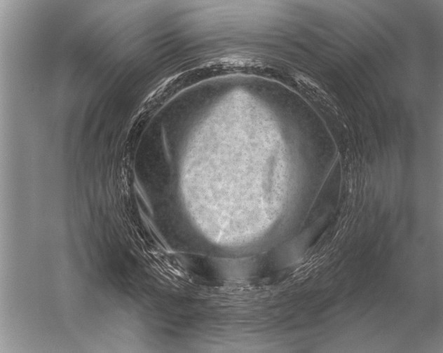 X0000056370776200509091648