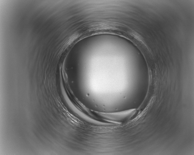 X0000056370777200509091648