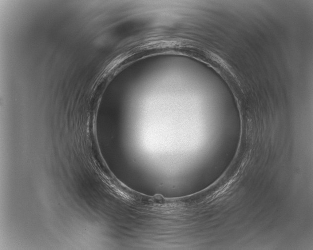 X0000056370778200509091648