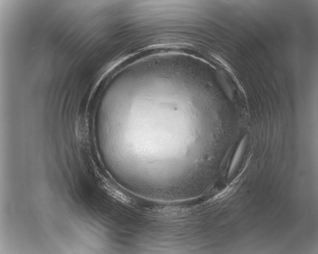 X0000056370779200509091648