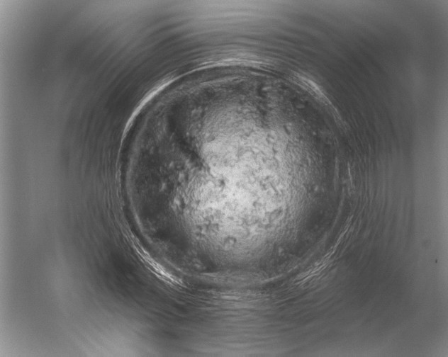 X0000056370780200509091648