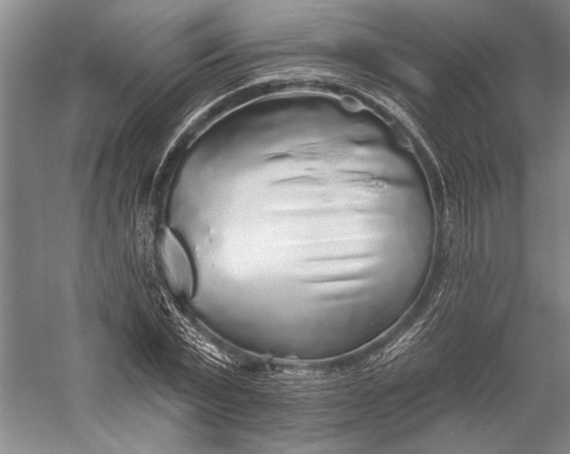 X0000056370783200509091648