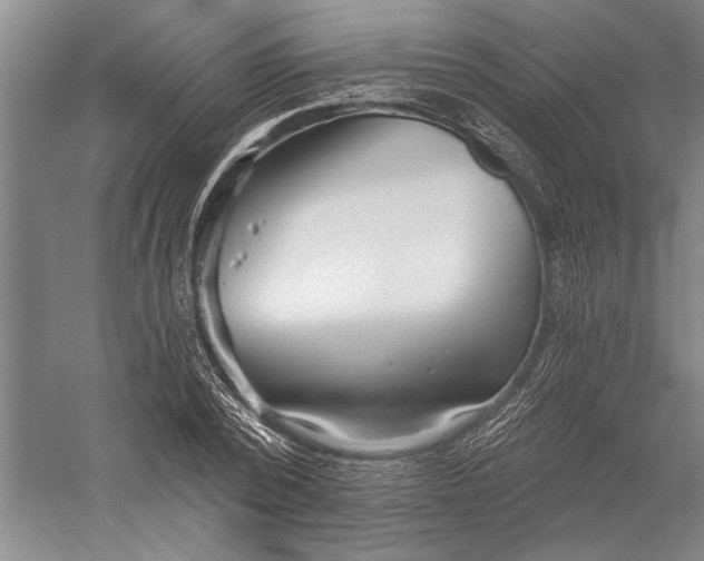 X0000056370784200509091648