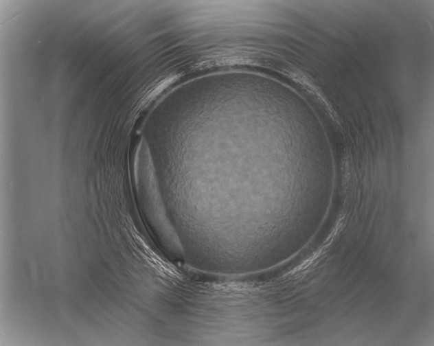 X0000056370785200509091648