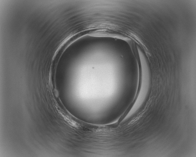 X0000056370788200509091647