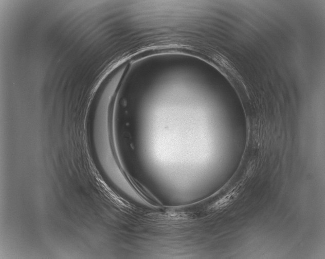 X0000056370789200509091647