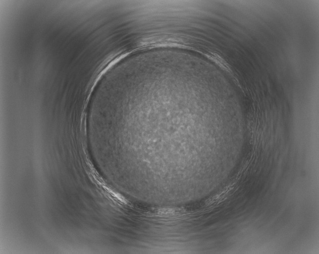 X0000056370790200509091647