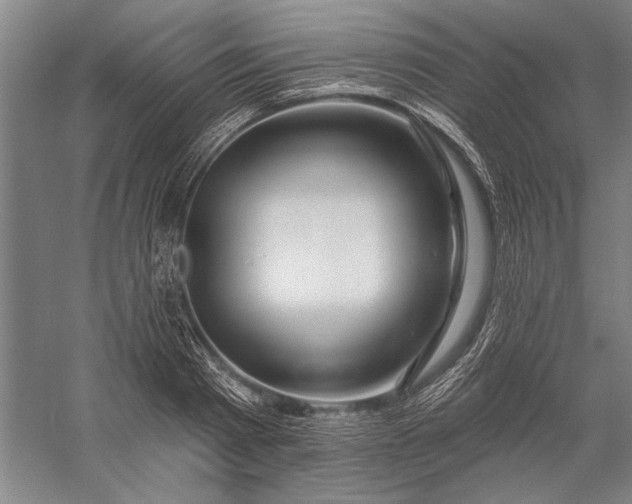 X0000056370793200509091647