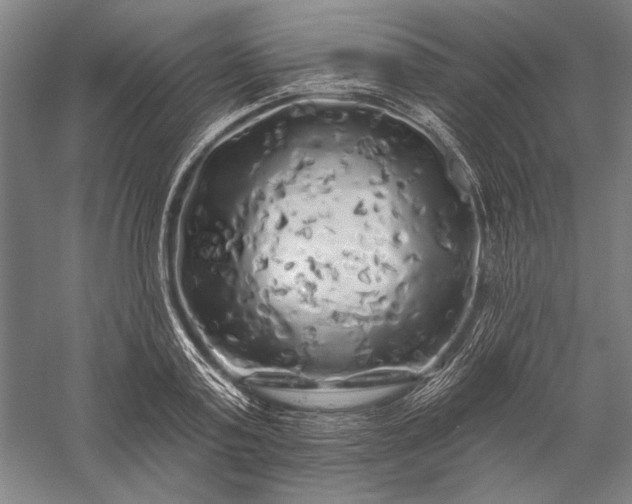 X0000056370795200509091647