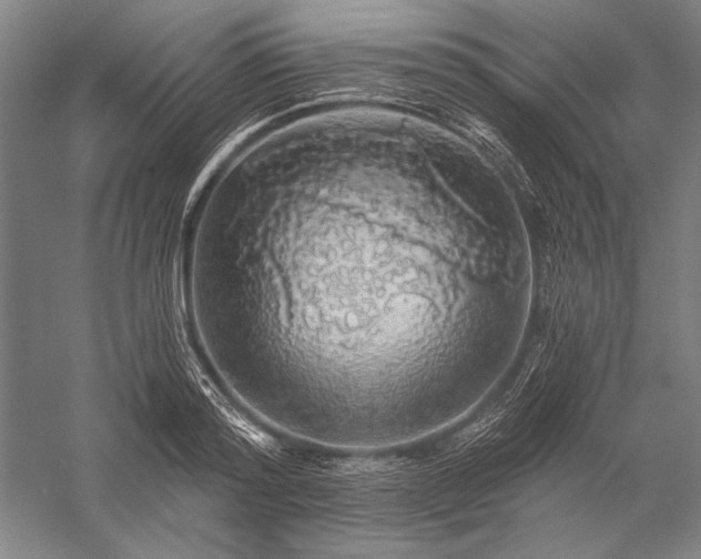 X0000056370796200509091647