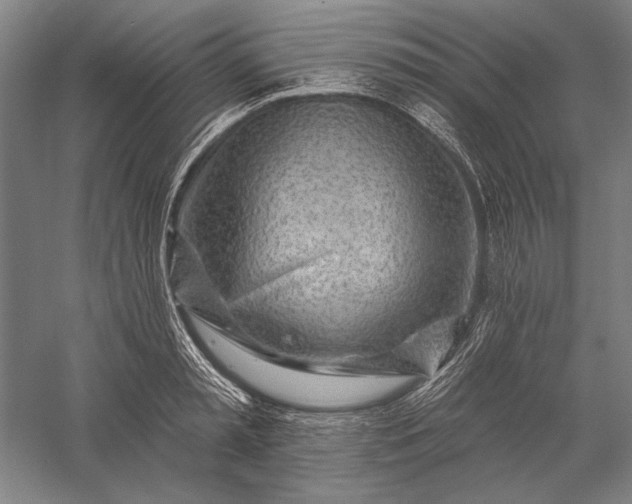 X0000056370797200509091647