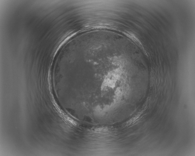 X0000056370798200509091647