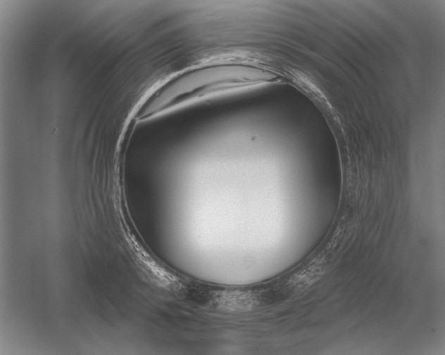 X0000056370800200509091647