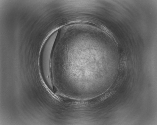 X0000056370803200509091647