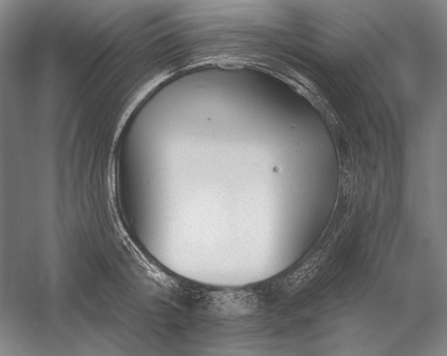 X0000056370804200509091647