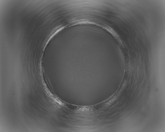 X0000056370806200509091647