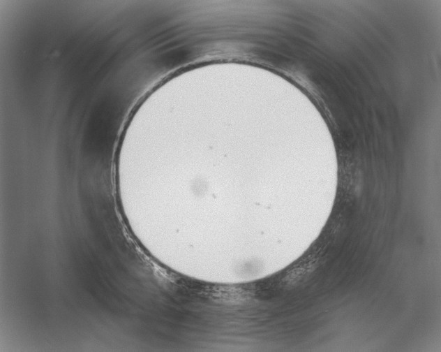 X0000056370807200509091647