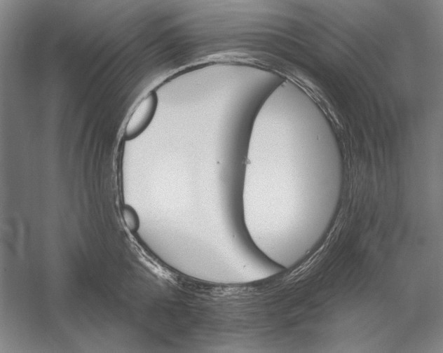 X0000056370808200509091647